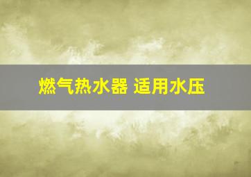 燃气热水器 适用水压